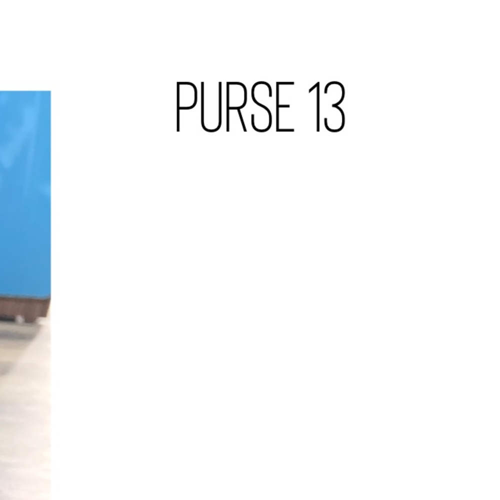 Purse 13